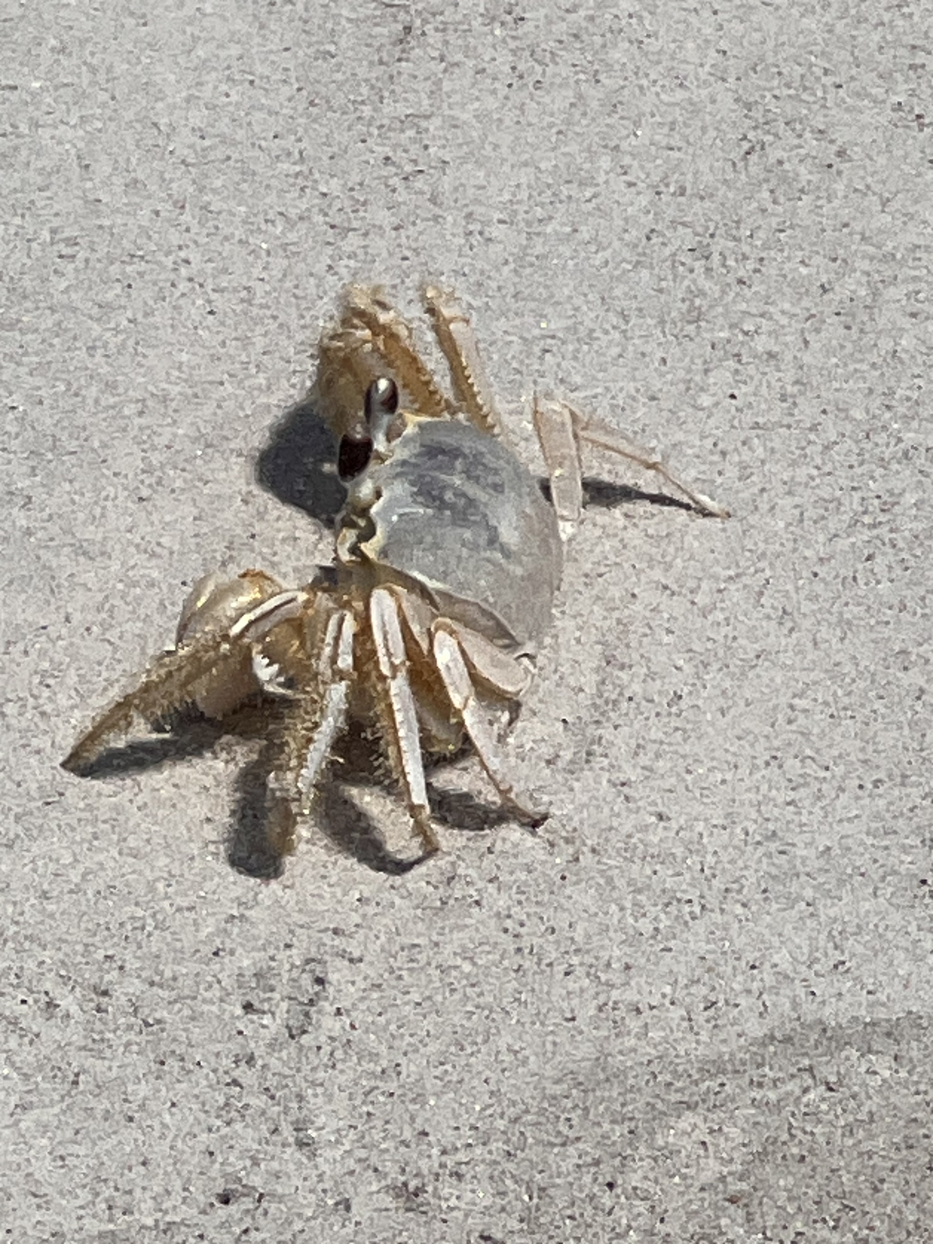 ./2024/05 - Bear Island/IMG_0576.jpg